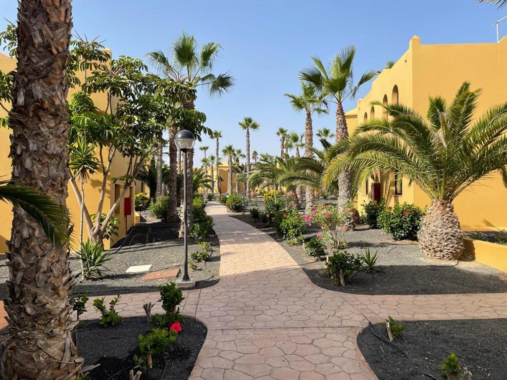 ホテル Casa Julia - Oasis Papagayo コラレホ エクステリア 写真